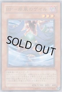 ノーマルパラレル - カードショップ トレカード 遊戯王