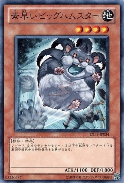 画像1: 素早いビッグハムスター 【効果モンスター】【ノーマル】【EXP3-JP034】 (1)